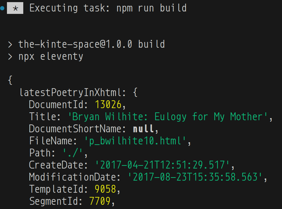 npm run build output